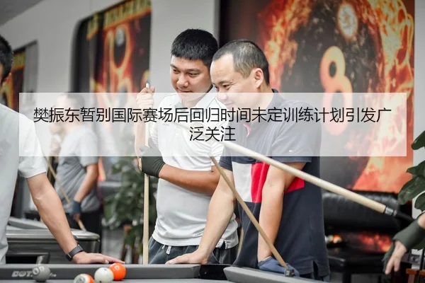 樊振东暂别国际赛场后回归时间未定训练计划引发广泛关注