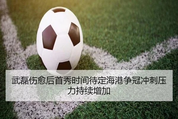 武磊伤愈后首秀时间待定海港争冠冲刺压力持续增加